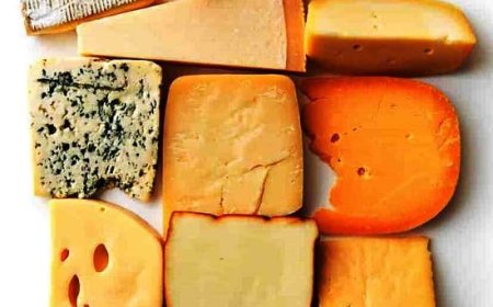 Different Types Of Cheese - Everything You Need To Know