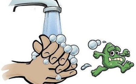 Hotel Restaurant Waiter and waitress Hygiene Guideline