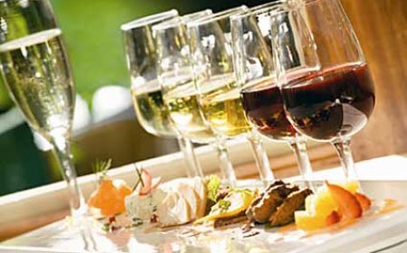 Learn How to Pair Wine with Food