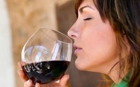 Wine Tasting Procedure