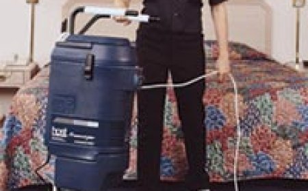 How to Clean & Maintain Carpet in Hotel & Restaurant