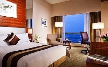 Typical Hotel Guest Room Amenities