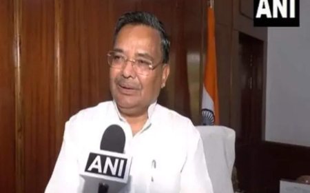 Four open catamaran boats to arrive soon | Hospitality Career Profile