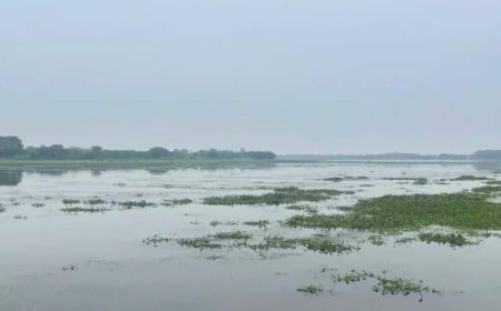 UP Tourism to enhance eco-tourism opportunities at Udhaila Lake in Ayodhya | Hospitality Career Profile