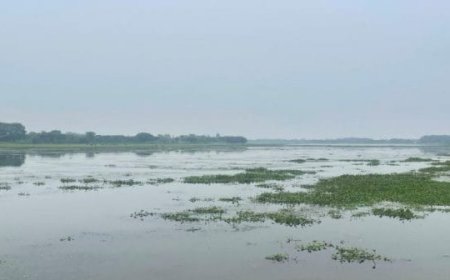 UP Tourism to enhance eco-tourism opportunities at Udhaila Lake in Ayodhya - | Hospitality Career Profile