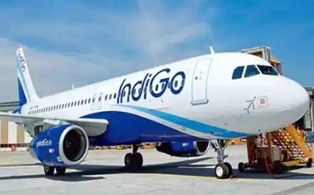 InterGlobe Aviation shares tank 8% on disappointing earnings; market cap drops by INR 13,481.88 crore
