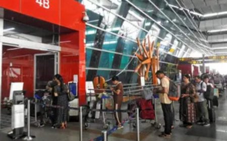 Airlines' shares gain as record 5 lakh flyers travel in a single day