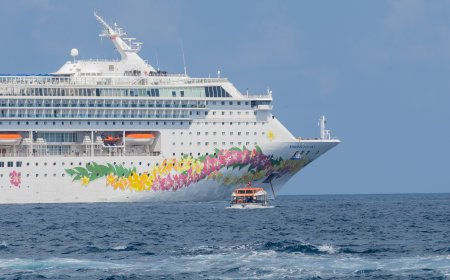 2 cruise liners bring thousands of tourists to Maldives