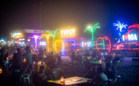 Is Goa paying the price for the greed of a few big players?