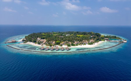 Bandos Maldives invites guests to ring in Year of the Snake