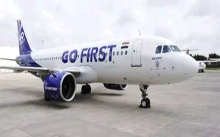 NCLT orders liquidation of Go First Airways