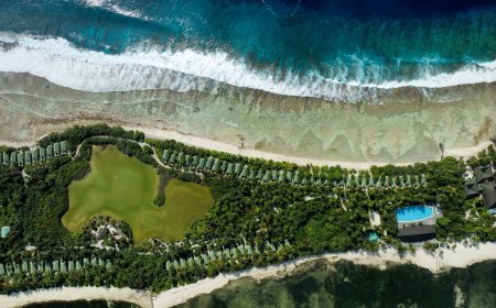 Sanctuary of nature, biodiversity