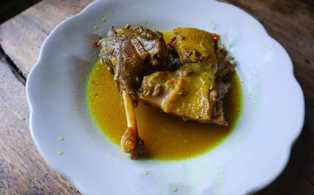 Govt frames rules to obtain import permission for premium frozen duck meat