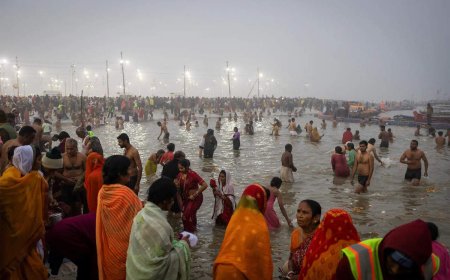 Prayagraj's tourism, hospitality industries get big boost by Maha Kumbh: UP govt