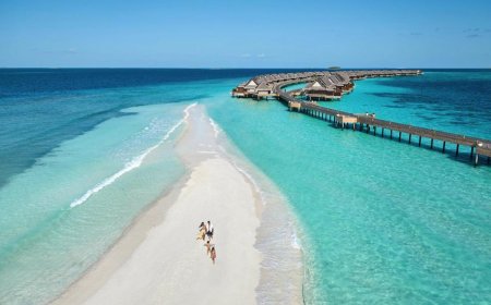 Oscar nominees to enjoy Maldives getaway