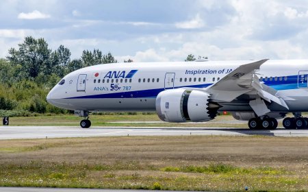 Japan’s ANA Buys a Bit of Everything