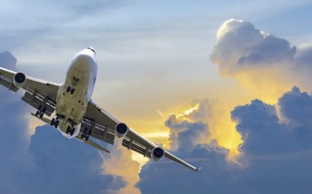 Airlines Scrub DEI From Latest Annual Reports