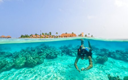 perfect summer escape awaits