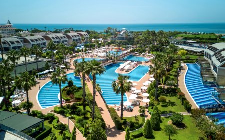 6 Things to Know About Its Strategic Overhaul