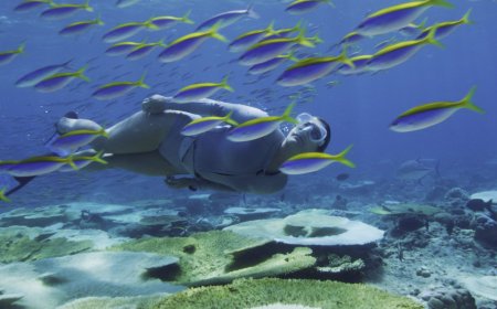 Ellaidhoo Maldives by Cinnamon wins HolidayCheck Gold Award 2025