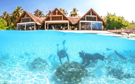 Four Seasons Resorts Maldives plant 9000th coral frame