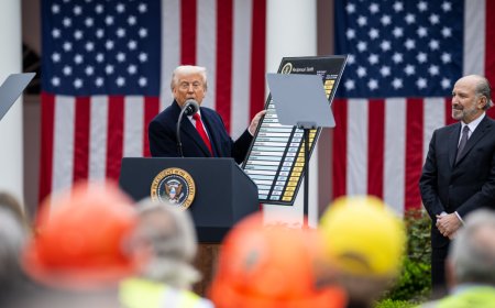 Tariff Impact on Hotels: Higher Costs, Delayed Renovations