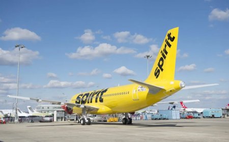 Spirit Airlines CEO Steps Down