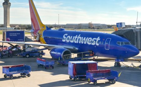 Southwest to Reduce Capacity, CEO Remains Bullish on Bag Fees