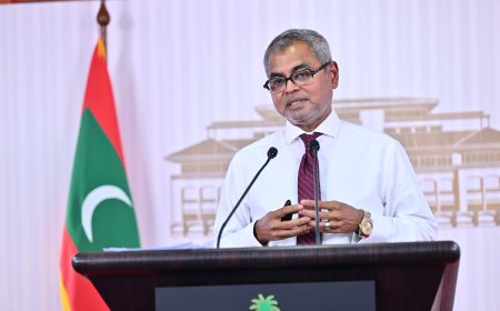 Indian market shows growth after decline, Maldives tourism minister says