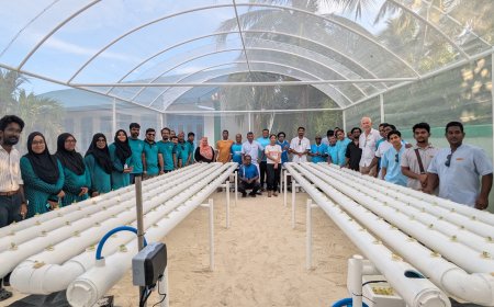 Conrad Maldives renovates hydroponic system at Dhigurah School