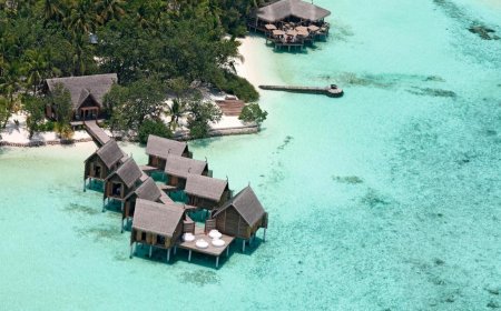 Constance Moofushi shines in 2025 Travellers’ Choice Awards