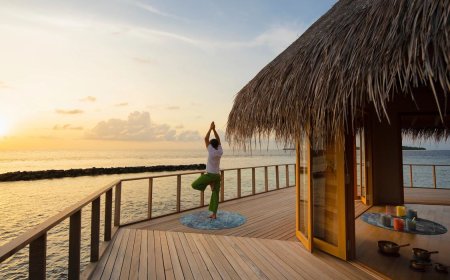 The Nautilus celebrates wellness with month of holistic healing