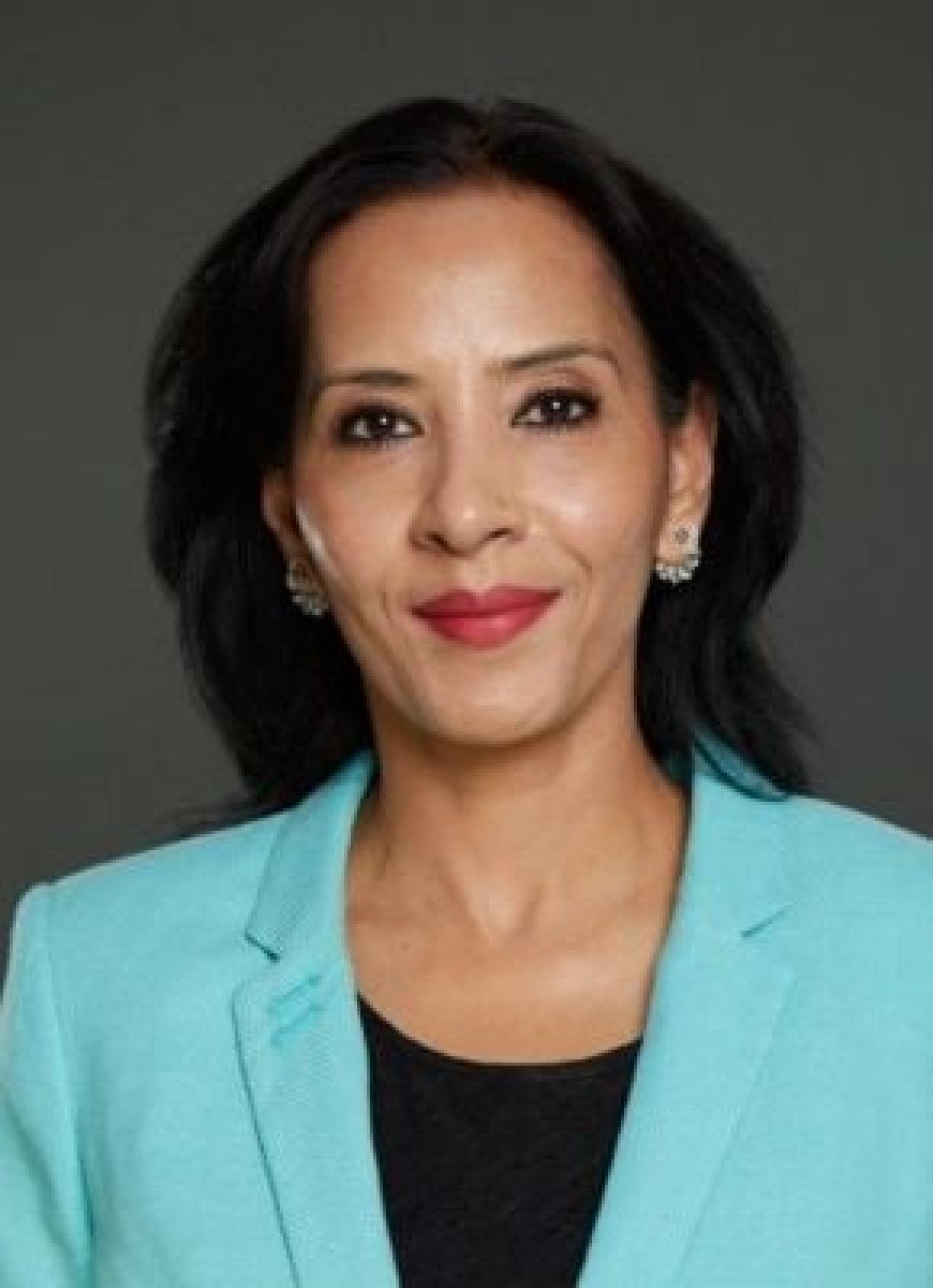 Anjula Pandya has been appointed VP Business Development at Dellisart LLC