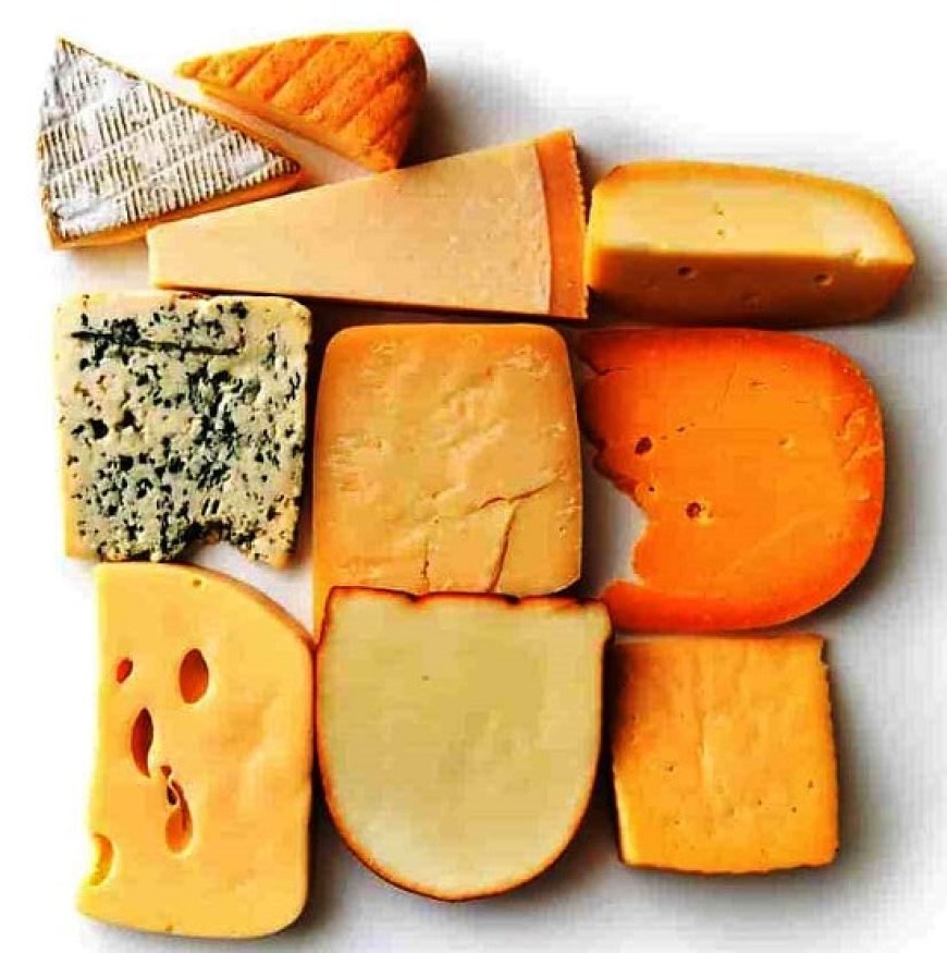 Different Types Of Cheese - Everything You Need To Know