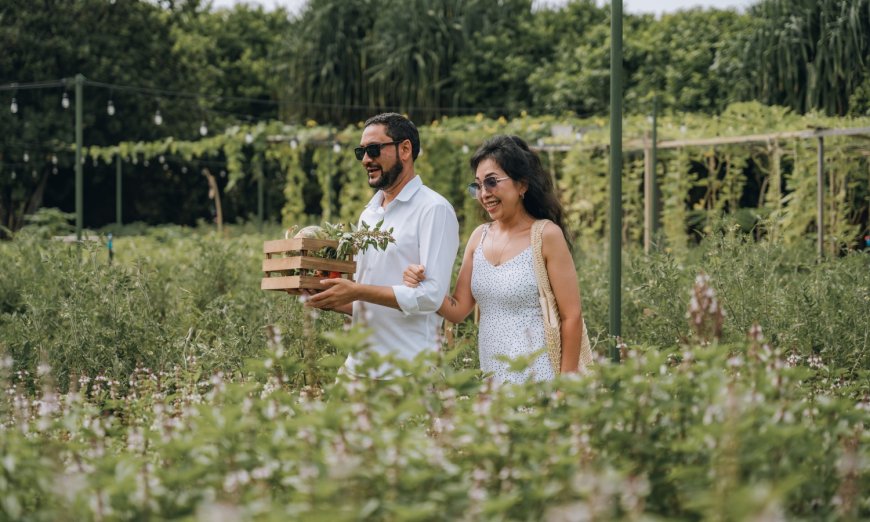 RAAYA by Atmosphere introduces Seb’s Farm, celebration of sustainability and flavours