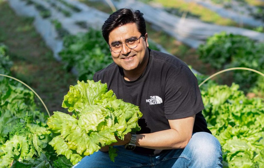 Salad Days raises INR 30 crores in Series A funding