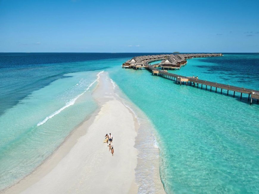 Oscar nominees to enjoy Maldives getaway
