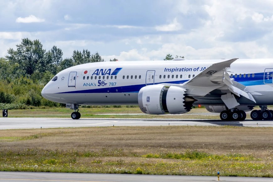 Japan’s ANA Buys a Bit of Everything