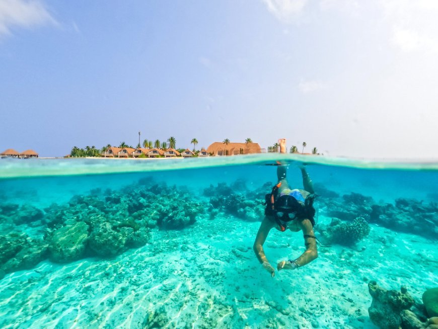 perfect summer escape awaits