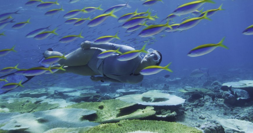 Ellaidhoo Maldives by Cinnamon wins HolidayCheck Gold Award 2025