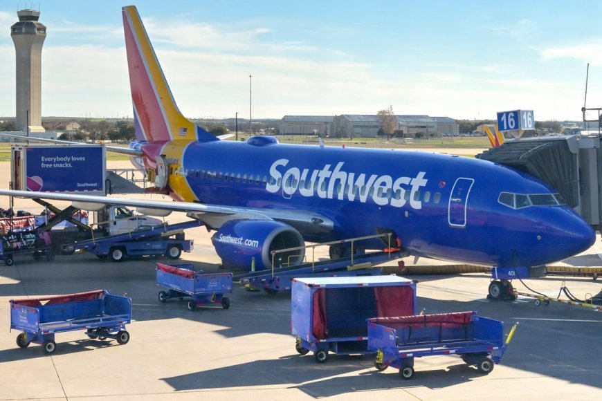 Southwest to Reduce Capacity, CEO Remains Bullish on Bag Fees