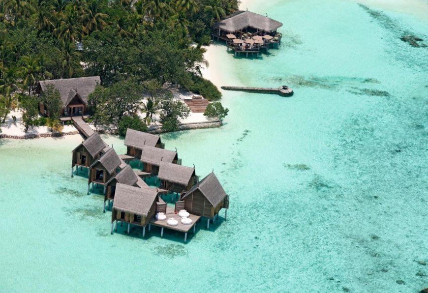 Constance Moofushi shines in 2025 Travellers’ Choice Awards