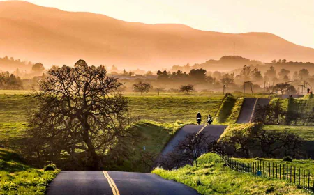 New Tourism Data Reveals Key Insights for Santa Ynez Valley Visitor Trends and Marketing Strategy