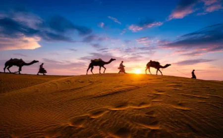 Rajasthan Sees Surge in International Tourist Arrivals from USA and UK