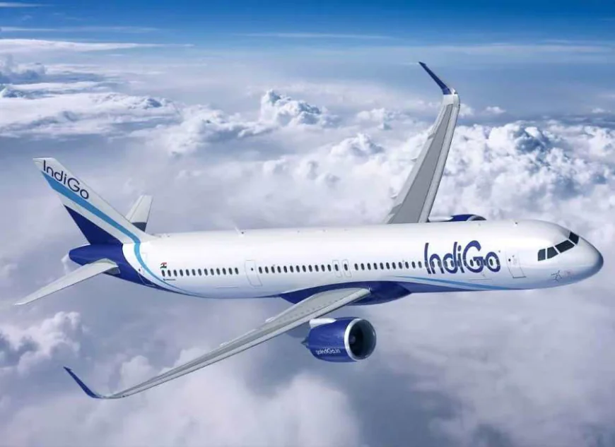 IndiGo Doubles its Wide-Body Aircraft Order with Airbus to Strengthen Long-Haul International Expansion: India’s Tourism Sector to Get a Boost? You Need To Know