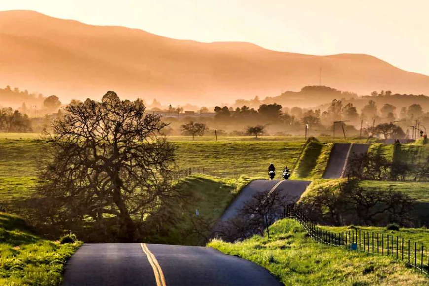New Tourism Data Reveals Key Insights for Santa Ynez Valley Visitor Trends and Marketing Strategy