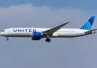 United Airlines to Launch Chicago–Monterey Nonstop Seasonal Route in May 2026