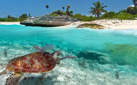 UK Updates Travel Advisories for Mexico, Jamaica, Costa Rica, Bahamas, Cuba and Dominican Republic Amid Rising Safety Risks