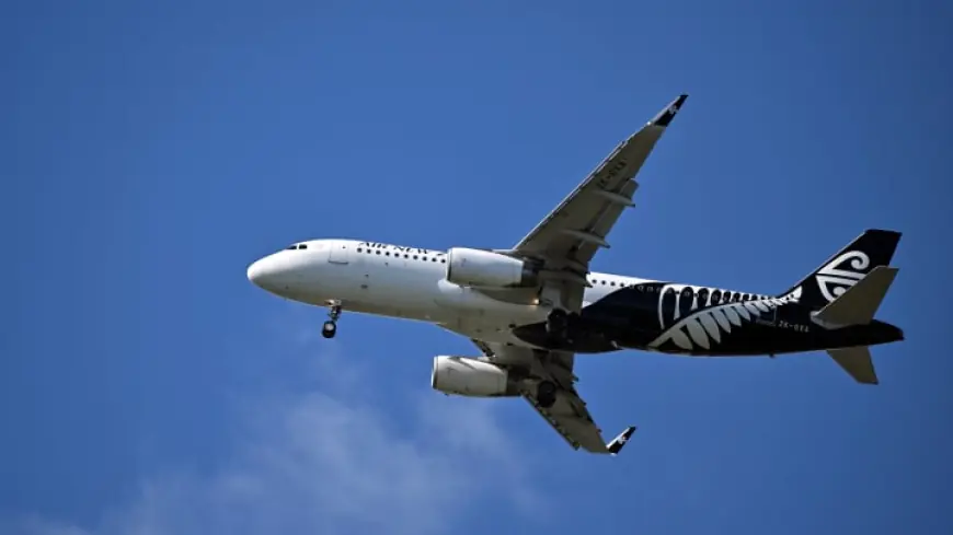 Air New Zealand Hit by Major Operational Meltdown: 15 Flights Cancelled and 128 Delayed Across Three Continents