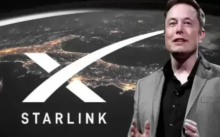 Starlink Emerges as Aviation’s Key Connectivity Boost in the 2020s